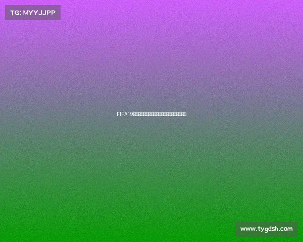 FIFA19中国世界杯热血回顾与未来足球发展全景解读篇